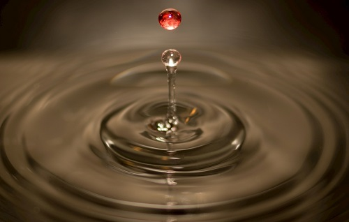 1673852621118257.png image.png