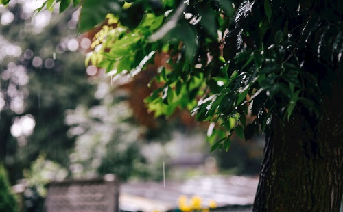 1675300632204407.png image.png