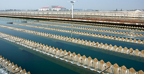 1677049216630627.png image.png