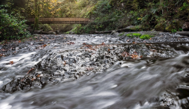 自來(lái)水公司為什么要用水質(zhì)在線監(jiān)測(cè)儀？（自來(lái)水水質(zhì)檢測(cè)設(shè)備）