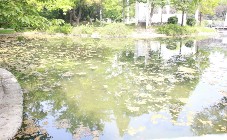 工業(yè)用水質(zhì)多參數(shù)在線檢測儀使用說明（水質(zhì)檢測儀的檢測項目）