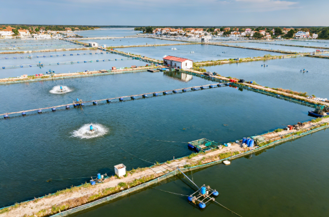 如何快速檢測水產(chǎn)品抗生素殘留？萊恩德LD-SK抗生素檢測儀操作指南